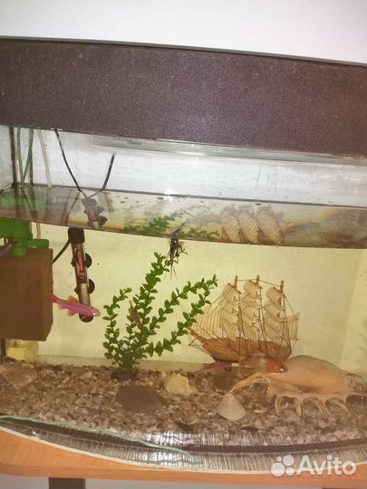Аквариум