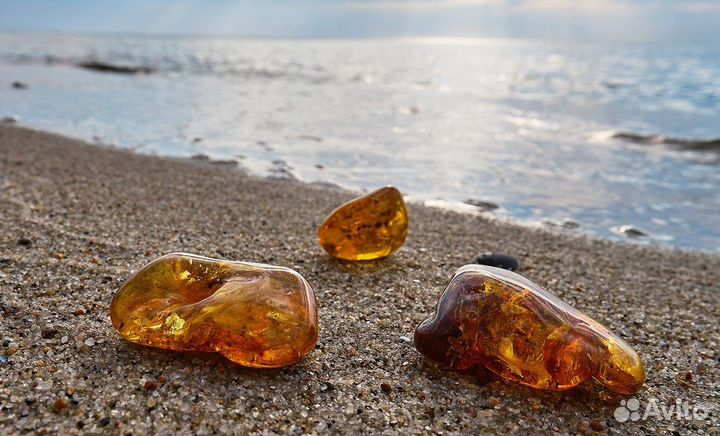 Тур на 7 дней в Янтарный край России