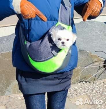 Переноска для собак на плечо