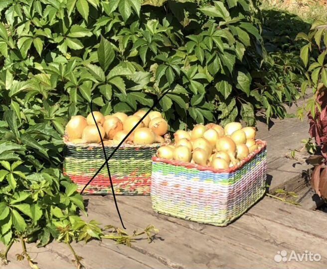 Корзина разноцветная