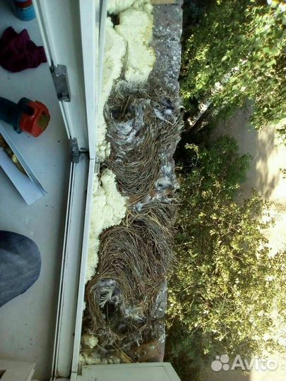 Ремонт пластиковых окон