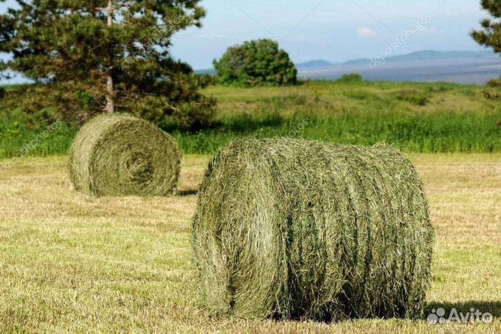 Сено доставка