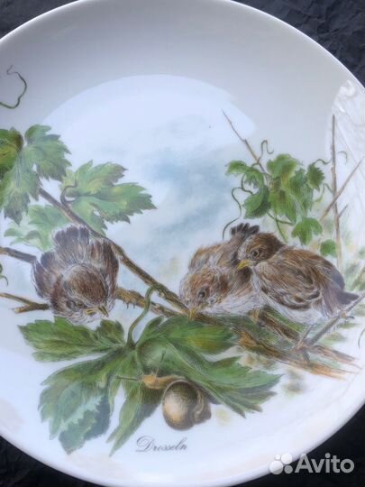 Настенная тарелка Германия