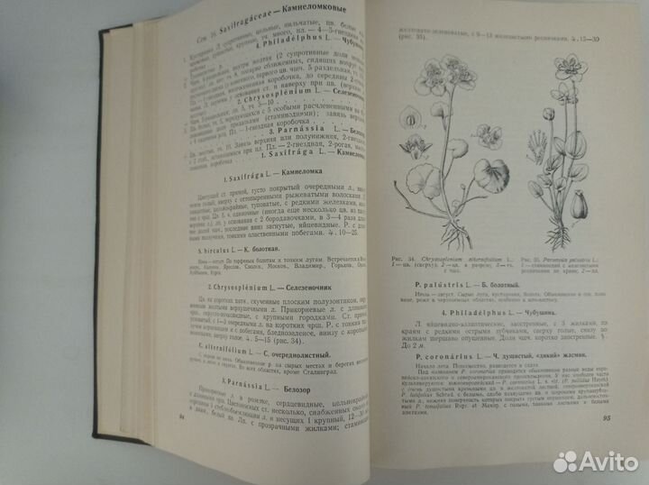 Книга Флора Средней Полосы Европейской части СССР