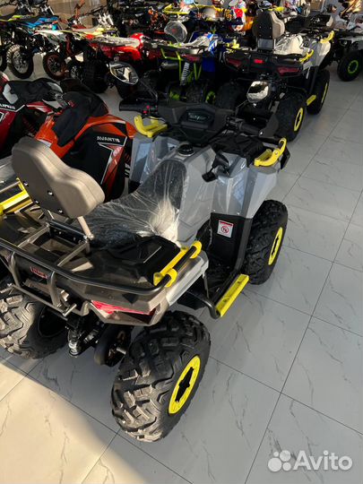 Avantis Ray 200 Lux – твой верный спутник