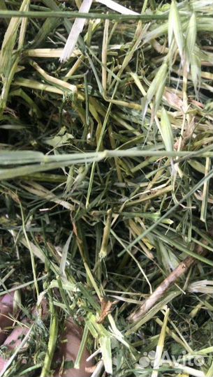 Сено и Стружка в тюках