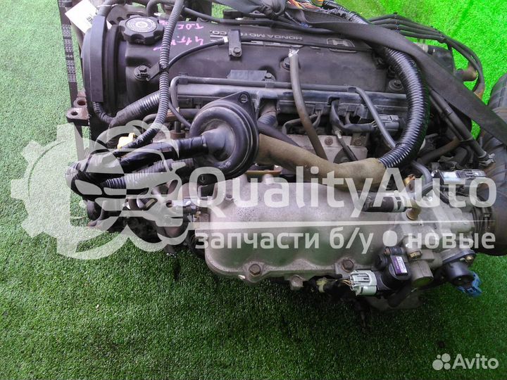 Двигатель Honda Odyssey 1.6 л F23A