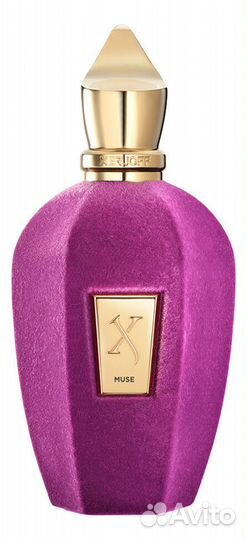 Xerjoff V Muse EDP 50 ml - парфюмерная вода