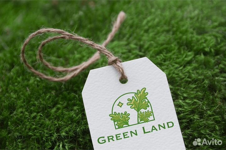 Графический дизайнер / логотип / полиграфия / илл