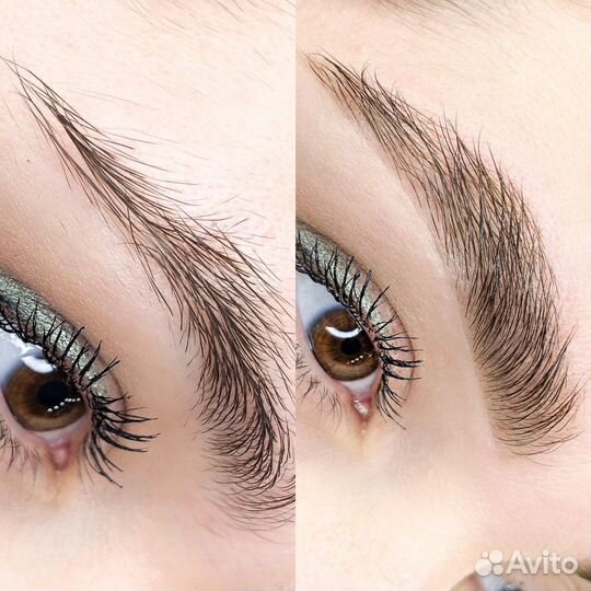 Обучение мастер бровист