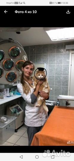 По уходу за животными