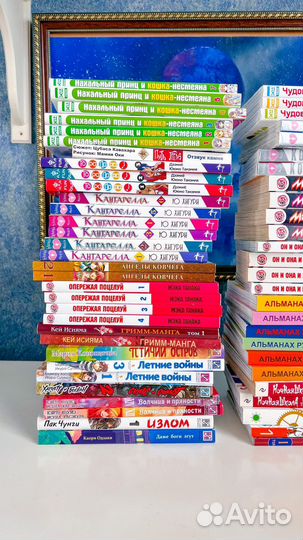 Продажа манги, аниме и фигурок (6)