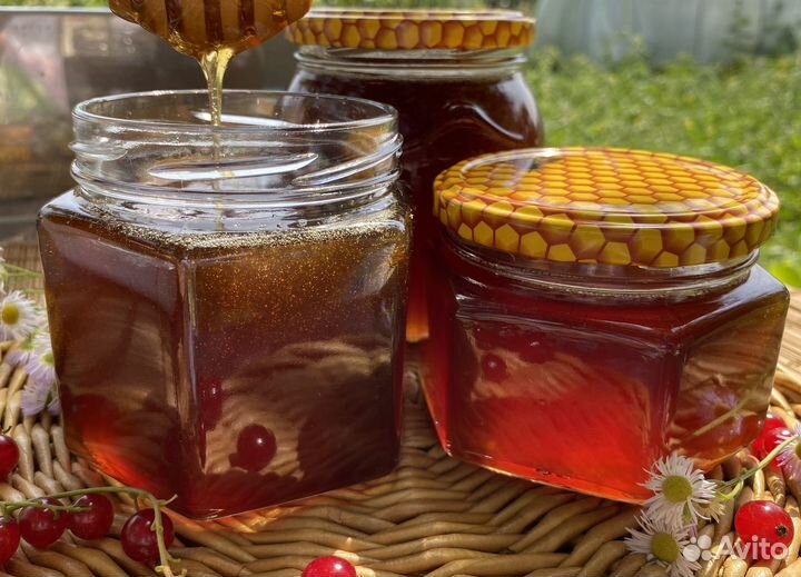Мед гречишный свежий