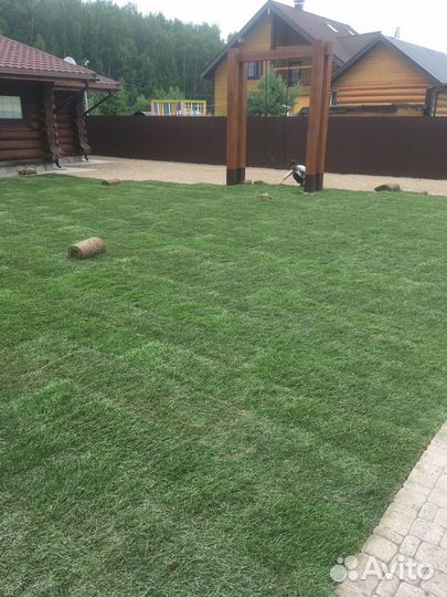Рулонный газон от производителя эконом