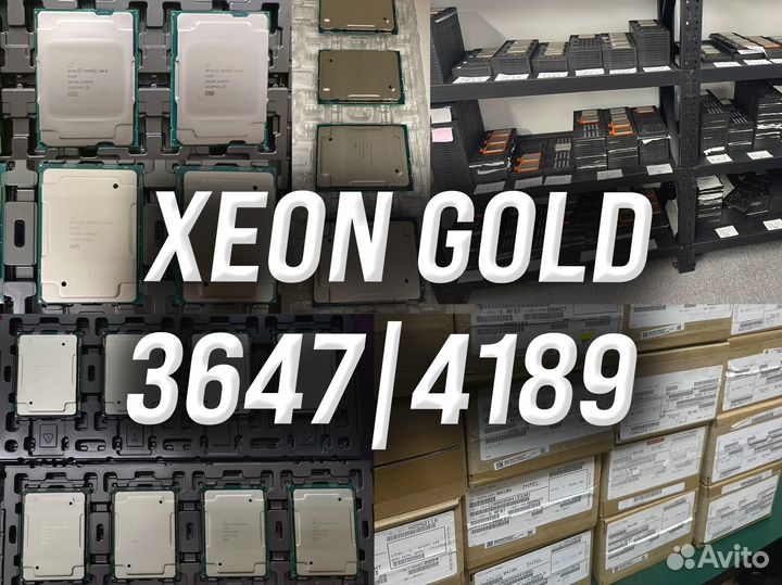 Xeon Gold