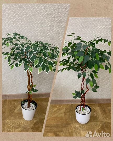 Искусственные растения (фикус)