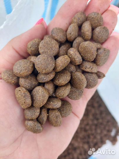 Вкусненький корм для собак разных пород