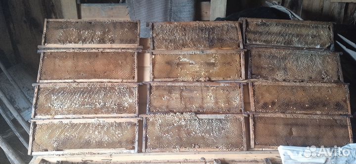 Рамки для ульев в коробе