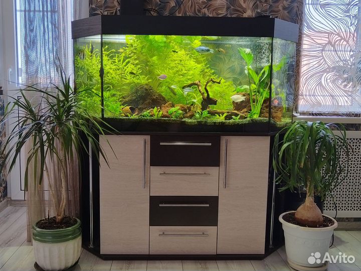 Аквариум с тумбой, 280 литров