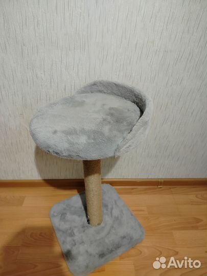 Когтеточка