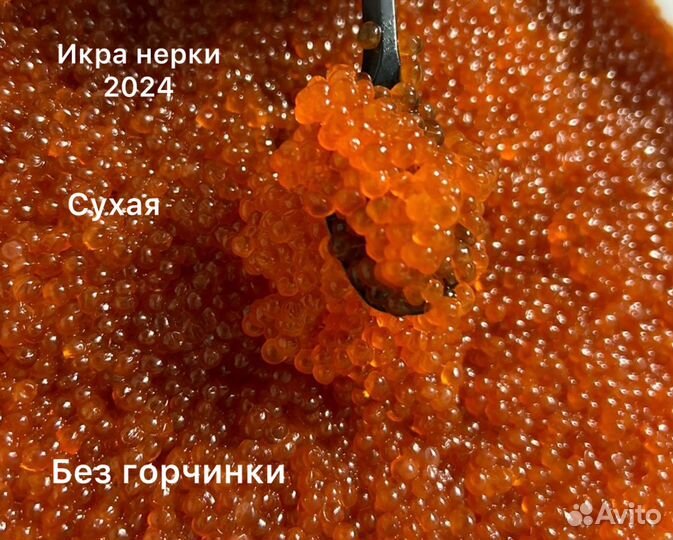 Красная икра нерка горбуша кета чавыча форель