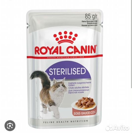Влажный корм для кошек royal canin