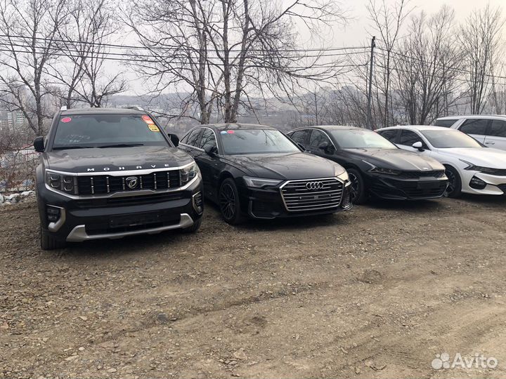 Помощь в Растаможке авто