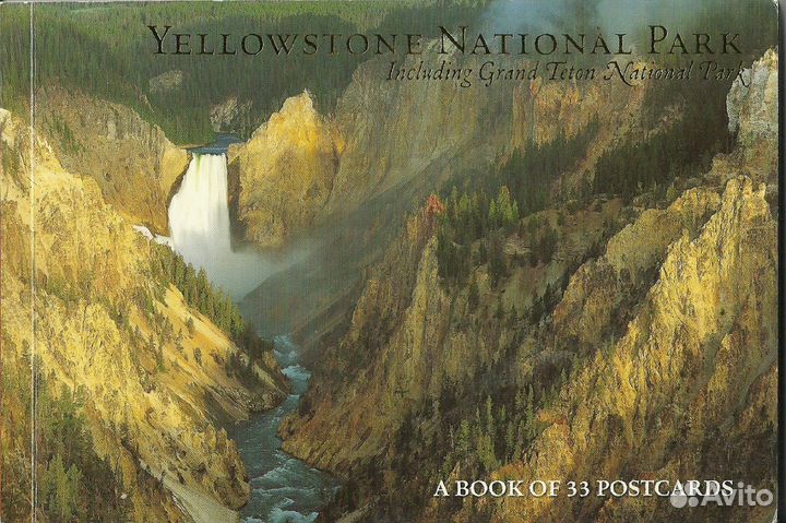 Yellowstone national park