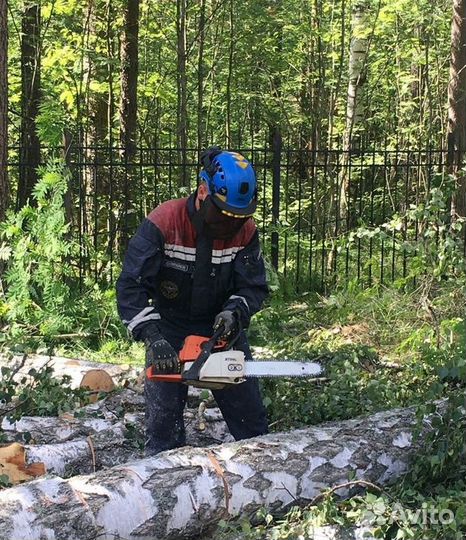 Спил деревьев Удаление пней Расчистка участка