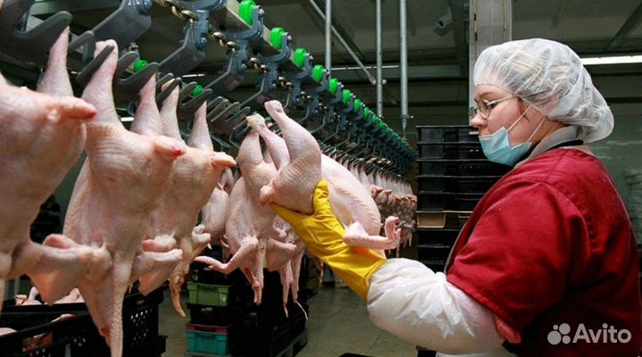 Вакансия на птицефабрике по вахте Челябинск