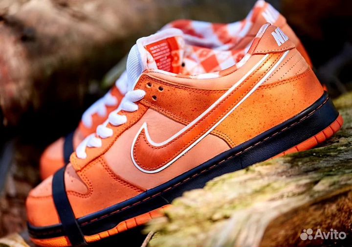 Concepts X Dunk Low SB Orange Lobster