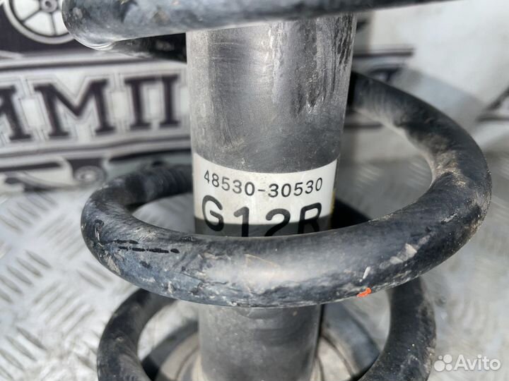 Амортизатор задний Lexus GS (3)