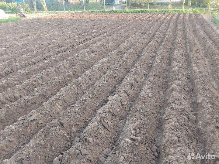 Вспашка земли мотоблоком, культивация