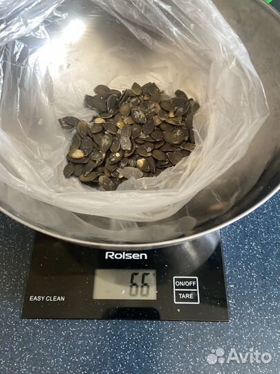 Купи семена Тыквы