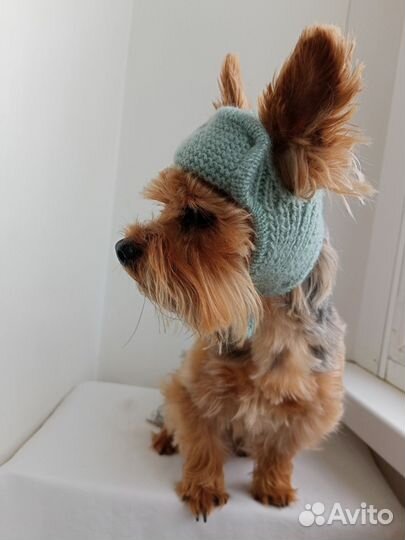 Шапочки для собак
