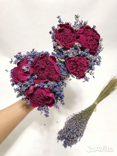 Сухоцветы букет лаванда