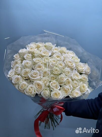 Тюльпаны оптом розницу