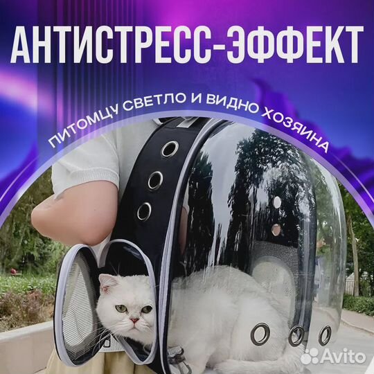 Рюкзак переноска для животных новый