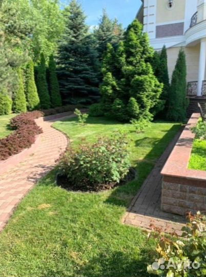 Укладка рулонного газона+Ландшафт участка под ключ