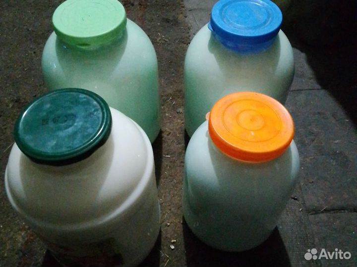 Молоко,яйцо