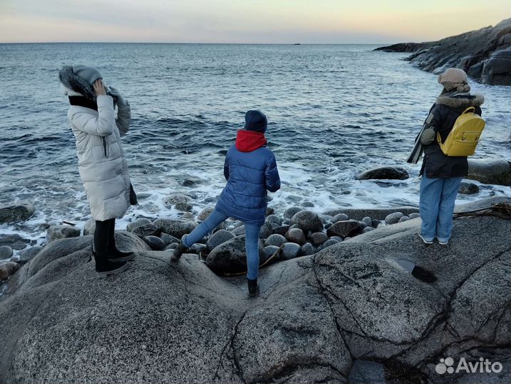 Териберка одним днём+ в море за китами