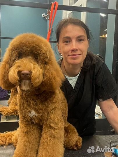 Модели для груминга