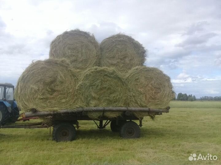 Сено луговое в рулонах 600 кг