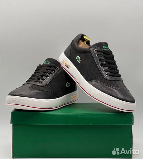 Зимние кеды lacoste