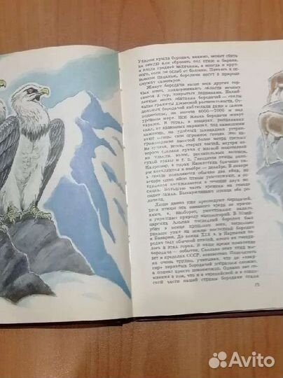 О редких животных мира. И П Сосновский