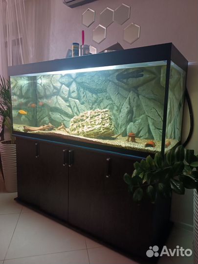 Аквариум с тумбой 600л