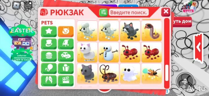 Петы из адопт ми