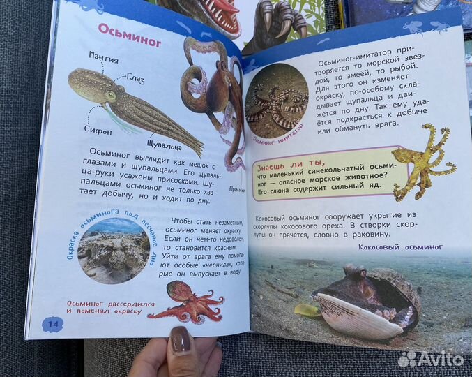 Энциклопедия для детского сада