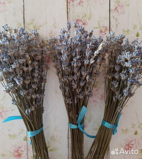 Лаванда сухоцвет, букеты-комплименты