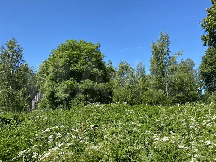 Участок 15 сот. (ИЖС)